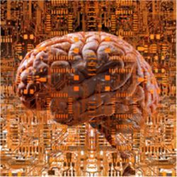 Brain under layers of circuit boards