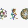 Cryo-Electron Microscopy Wins the Nobel Prize in Chemistry