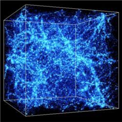 Universe large-scale structure