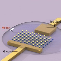 molybdenum ditelluride monolayer schematic