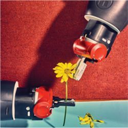 Robot manipulating flower