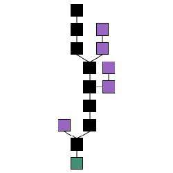 A blockchain formation. The main chain (black) consists of the longest series of blocks from the genesis block (green) to the current block. Orphan blocks (purple) exist outside of the main chain.