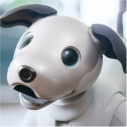 Sony aibo robot