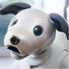 Sony's Aibo Robotic Dog Is Back, with Some New Tricks