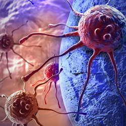 A cancer cell.