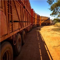 Self-driving truck, Australia