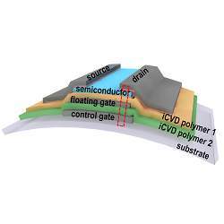 Structure of the flexible flash memory.