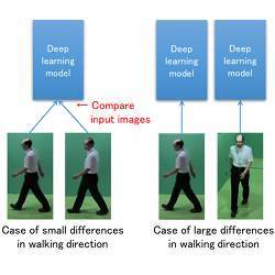 Effective network architecture depending on walking direction.