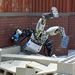 A robot takes a tumble during the finals of the 2015 Robotics Challenge in Pomona, CA.