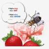 Fruit Fly Brains Inform Search Engines of the Future