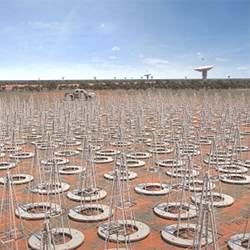 Artist's rendition of the Low Frequency Aperture Array of the planned Square Kilometre Array.