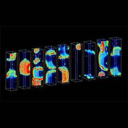 Each rectangular structure represents a heart cell in the team's computer model.