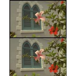 A deliberately degraded image (top) is restored by the algorithm (bottom).