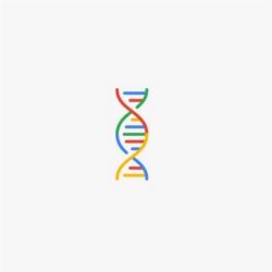 Google DNA