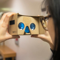 VR cardboard viewer