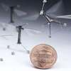 Engineers Program Tiny Robots to Move, Think Like Insects
