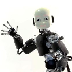 iCub robot