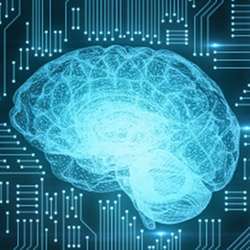 The discovery could support the development of brain-like computing.