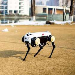 Jueying, the robot dog.