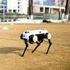 Come Meet ZJ­'s Robot Dog 'Jueying'