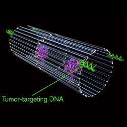 The key to programming a nanorobot that attacks only a cancer cell was to include a special payload on its surface.