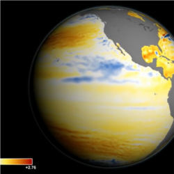 Global sea level rise