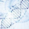 Inching Closer to a DNA-Based File System