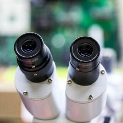 Optical microscope