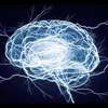 Seeing the Brain's Electrical Activity