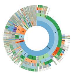 A visualization of questions associated with the VizWiz dataset.