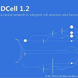 From a screenshot of the DCell virtual model.