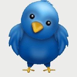 Twitter bird, illustration