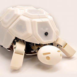 The robo-tortoise.