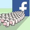 My Cow Game Extracted Your Facebook Data