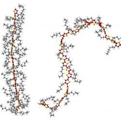 A polymer with an elongated backbone (at left), and a polymer with a bent backbone. 