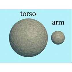 A one-torso, one-arm swimmer made of magnetically linked particles moves under the influence of an eccentric magnetic field.