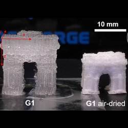 A three-dimensionally printed structure before (left) and after drying.