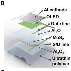 Specific layer structure of an ultrathin AM-OLED display. 