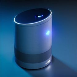 Voice activated assistant