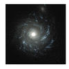 Face Recognition for Galaxies: Artificial Intelligence Brings New Tools to Astronomy