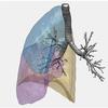 How the Power of Mathematics Can Help Assess Lung Function