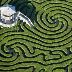  The maze at Longleat House, Wiltshire, U.K.