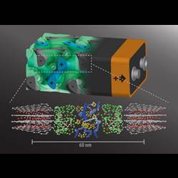 A rendering of the 3D battery architecture (top, not to scale) and their respective molecular structures (bottom).