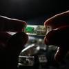 Ingestible 'Bacteria on a Chip' Could Help Diagnose Disease