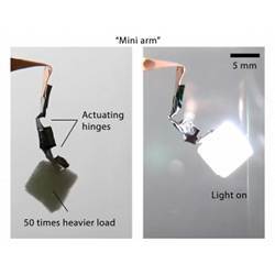 A mini arm powered by light lifting a weight 50 times heavier than itself.