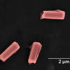 Cell-Like Nanorobots Clear Bacteria, Toxins From Blood