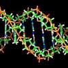 DNA Barcodes That Reliably Work: A Game-Changer for Biomedical Research