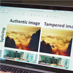 Authentic vs. tampered image