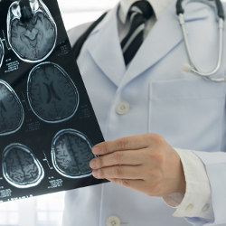 doctor examines medical imaging