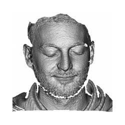 A three-dimensional model of a face. 